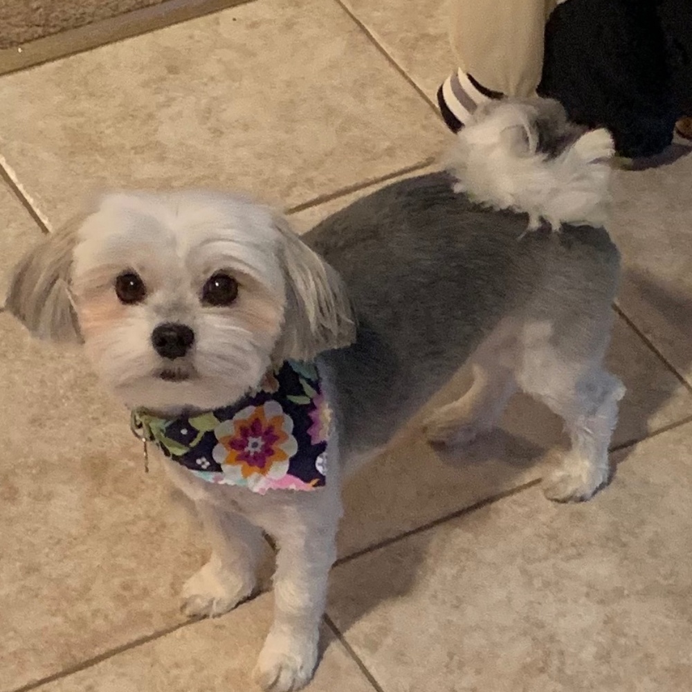 BELLA WELCOMES OFFERS